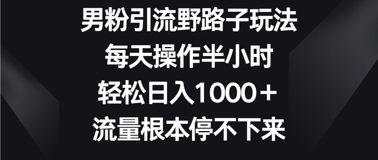 男粉引流野路子玩法，每天操作半小时轻松日入1000＋，流量根本停不下来-星云科技 adyun.org