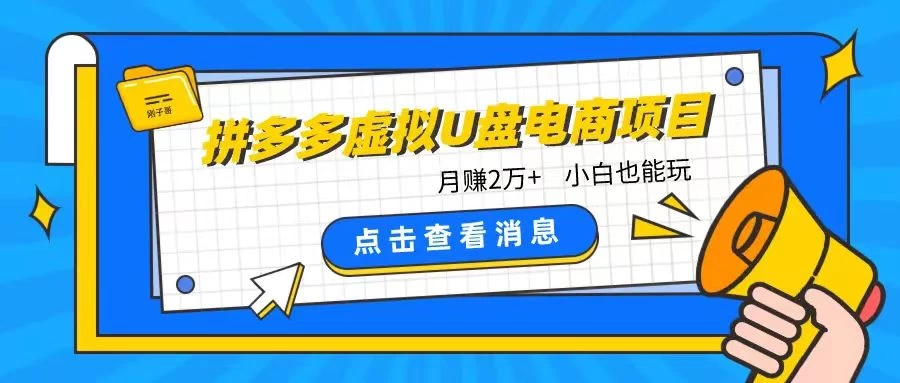 拼多多虚拟U盘电商红利项目：月赚2万+，新手小白也能玩-星云科技 adyun.org