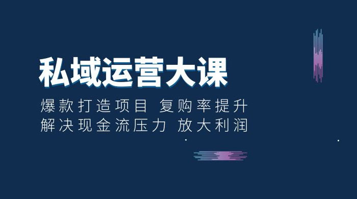 私域运营大课：爆款打造项目，复购率提升，解决现金流压力，放大利润-星云科技 adyun.org