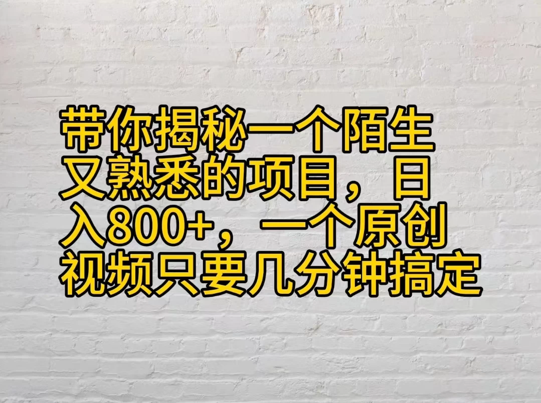 带你揭秘一个陌生又熟悉的项目，日入800+，一个原创视频只要几分钟搞定-星云科技 adyun.org