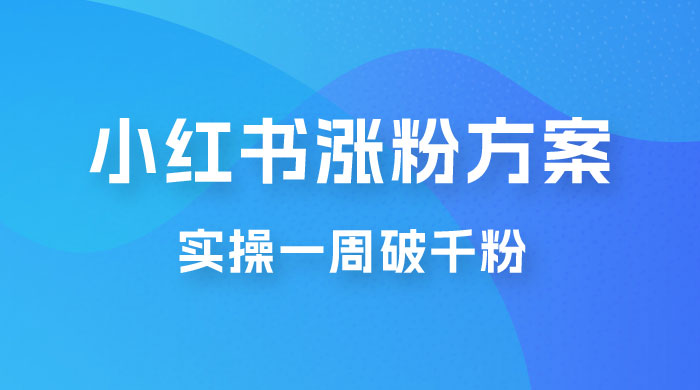 小红书爆款涨粉方案，实操一周破千粉，利用商单轻松变现，在家就能月入过万-星云科技 adyun.org