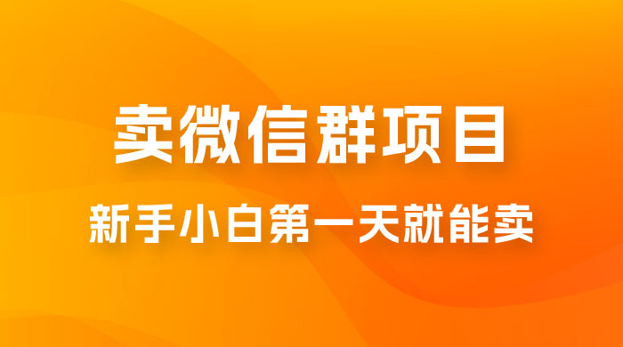 最新卖微信群项目玩法拆解：新手小白第一天就能卖，日入 300+-星云科技 adyun.org