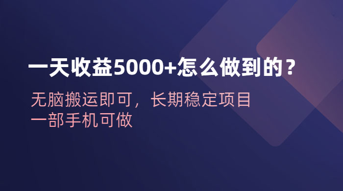 一天收益 5000+ 怎么做到的？无脑搬运即可，长期稳定项目，一部手机可做-星云科技 adyun.org