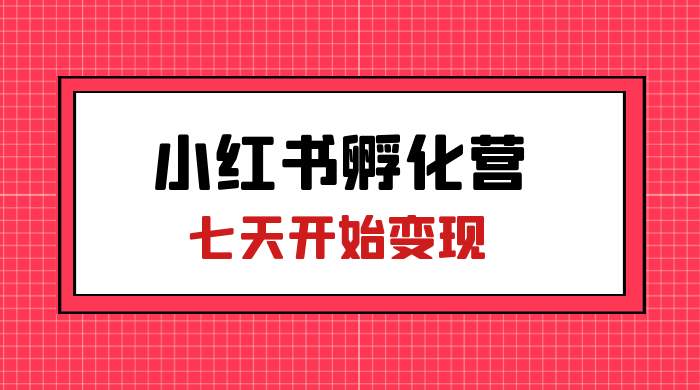 价值 2000+ 的小红书孵化营项目，超级大蓝海，七天即可开始变现，稳定月入 1W+-星云科技 adyun.org