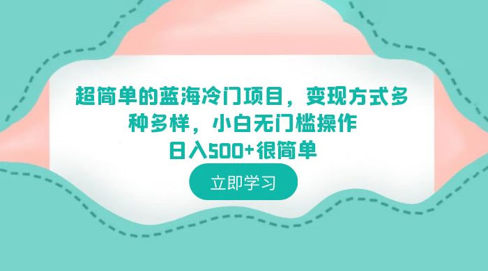 超简单的蓝海冷门项目：变现方式多种多样，小白无门槛操作很简单-星云科技 adyun.org