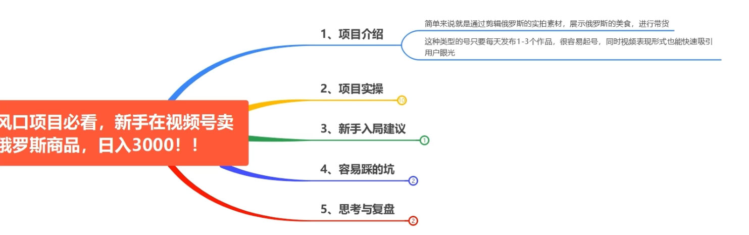 图片[2]-最近爆火的视频号卖俄品商品，项目详细拆解，收益高好操作！-星云科技 adyun.org