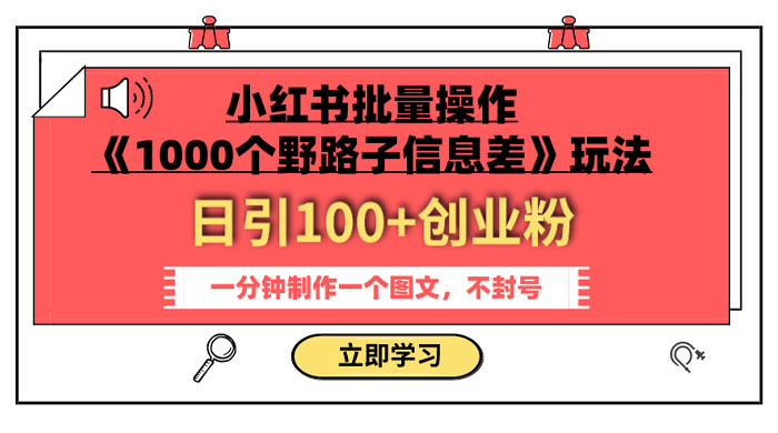 小红书批量操作《 1000 个野路子信息差》玩法，日引 100+ 创业粉，一分钟一个图文-星云科技 adyun.org