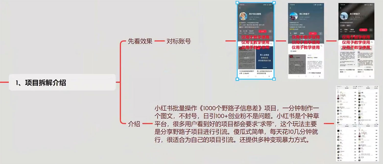 图片[2]-小红书批量操作《 1000 个野路子信息差》玩法，日引 100+ 创业粉，一分钟一个图文-星云科技 adyun.org