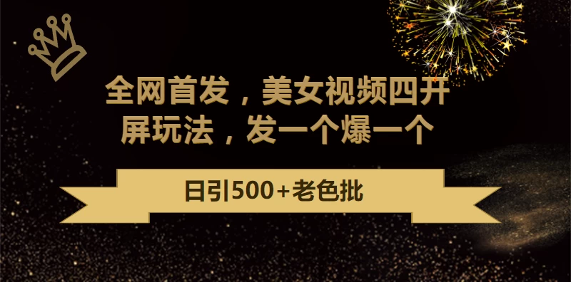 最新成人引流玩法，美女视频四开屏玩法，发一个爆一个，日引流500+精准-星云科技 adyun.org