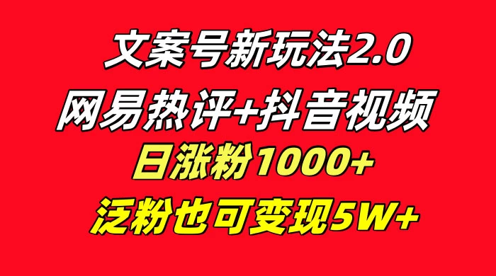 文案号新玩法，网易热评+抖音文案 一周轻松涨粉 5W+ 多种变现模式-星云科技 adyun.org