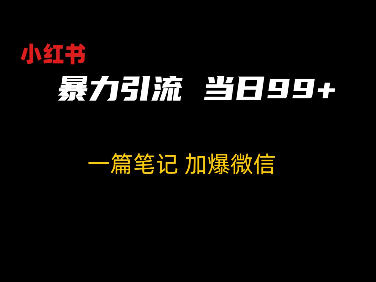 小红书暴力引流方法，当日99+，非常简单的引流方法-星云科技 adyun.org