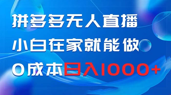 拼多多无人直播，小白在家就能做，0 成本日入 1000+-星云科技 adyun.org