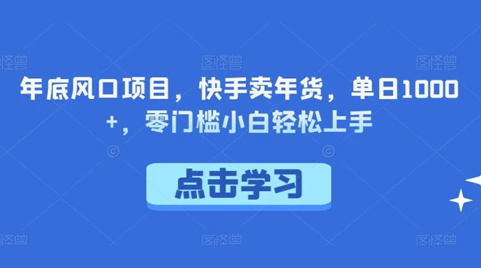 年底风口项目，快手卖年货，单日 1000+，零门槛小白轻松上手-星云科技 adyun.org