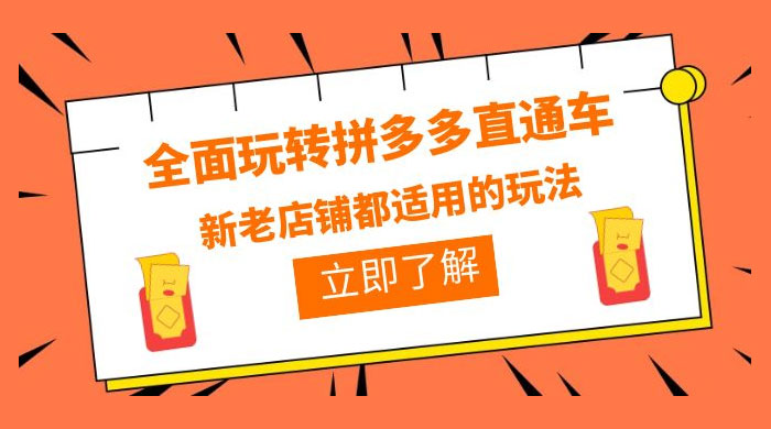 全面玩转拼多多直通车：新老店铺都适用的玩法 12 节精华课-星云科技 adyun.org