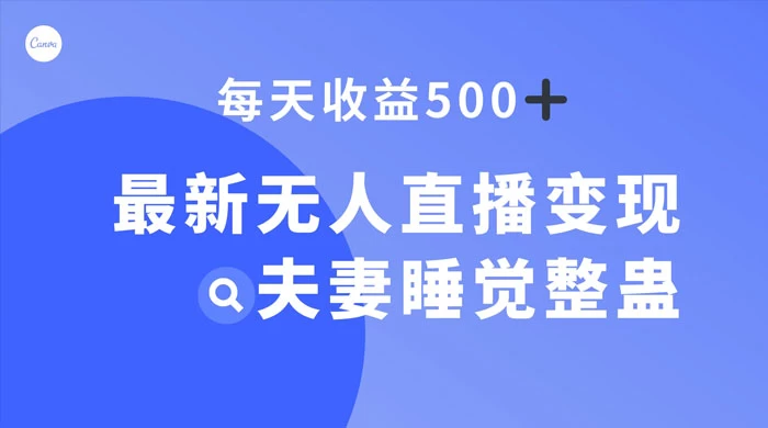 最新无人直播变现，夫妻睡觉整蛊，每天躺赚 500+-星云科技 adyun.org