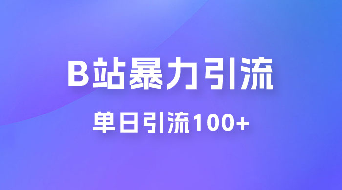 B 站暴力引流新玩法，单日引流 100+-星云科技 adyun.org