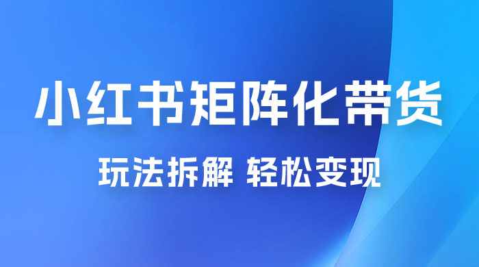 小红书矩阵化带货玩法拆解，保姆级教程，详细拆解这套玩法-星云科技 adyun.org