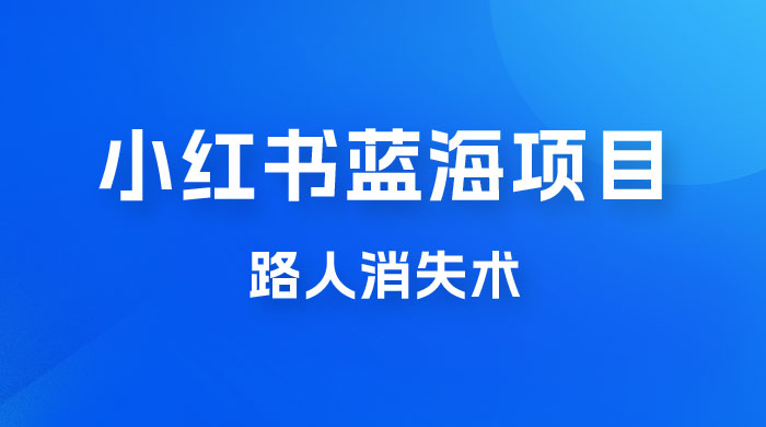 小红书蓝海项目，路人消失术，实测一天 300+-星云科技 adyun.org