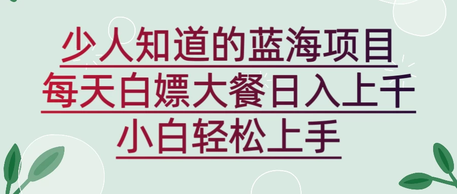 新蓝海长期项目，白嫖大餐日入上千，小白轻松上手-星云科技 adyun.org