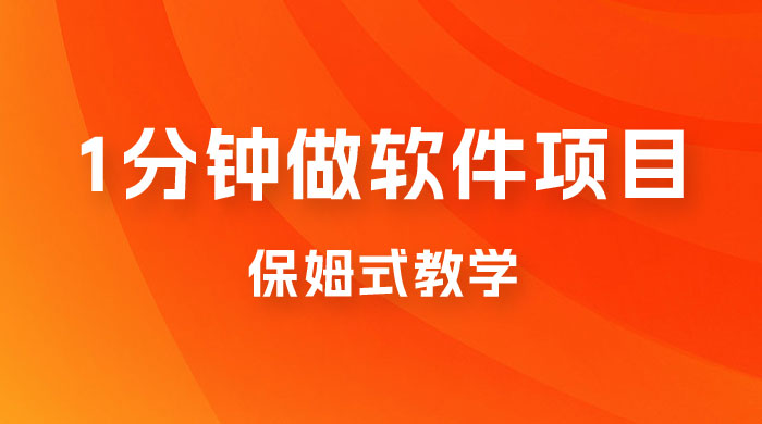 1 分钟做软件项目。有人靠这个已经赚 10W。保姆式教学，外面收费 3980-星云科技 adyun.org