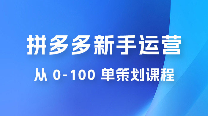 拼多多新手运营从 0-100 单策划课程，从零起步到爆单详细教程-星云科技 adyun.org