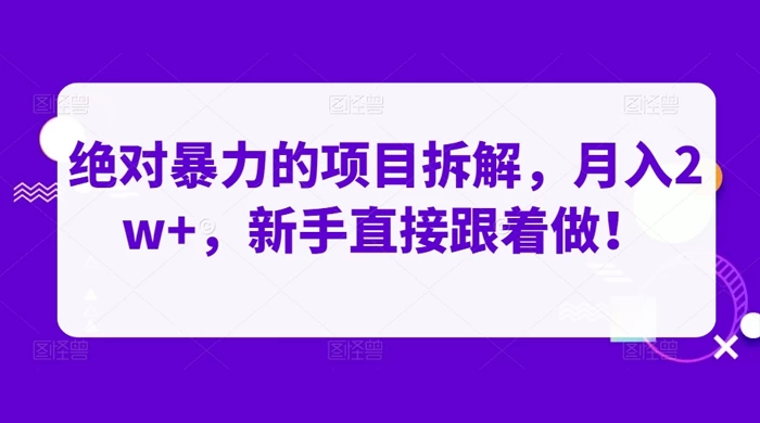 绝对暴力的项目拆解，月入 2w+，新手直接跟着做【揭秘】-星云科技 adyun.org