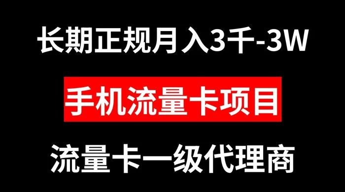 手机流量卡代理月入 3000-3w 长期正规项目-星云科技 adyun.org