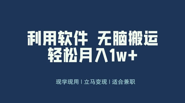 最新蓝海独家玩法，利用软件无脑搬运，小白轻松日入1000＋-星云科技 adyun.org