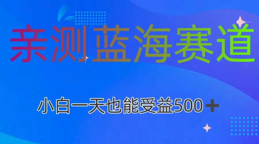 亲测蓝海赛道，利用AI创作，小白一天收益500+-星云科技 adyun.org