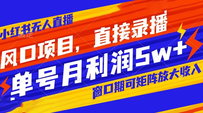 风口项目，小红书无人直播带货，直接录播，可矩阵，月入 5w+-星云科技 adyun.org