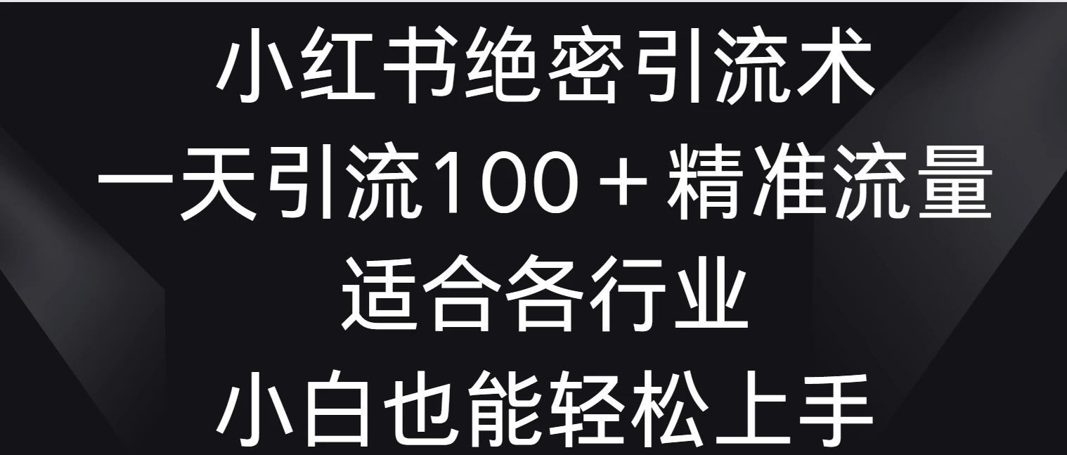 小红书绝密引流术，一天引流100＋精准流量，适合各个行业，小白也能轻松上手-星云科技 adyun.org