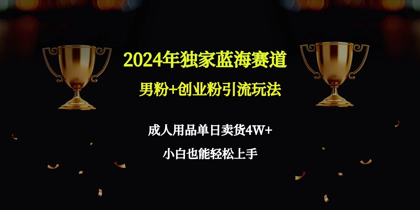 2024独家蓝海赛道，男粉＋创业粉引流玩法。-星云科技 adyun.org