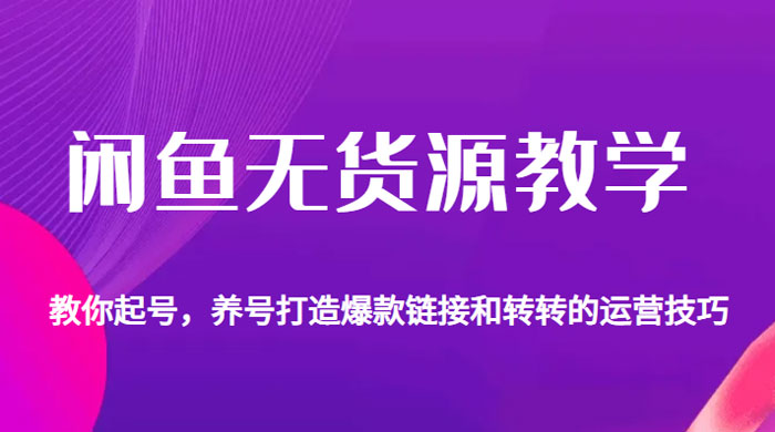 闲鱼无货源电商教学：教你起号，养号打造爆款链接以及转转的运营技巧-星云科技 adyun.org